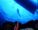 沈潜ダイバーの写真